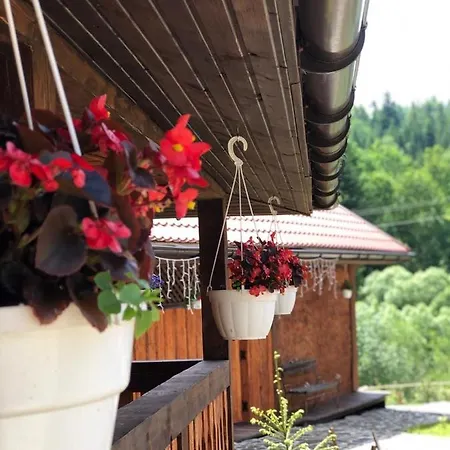 Apartman шервуд Mita