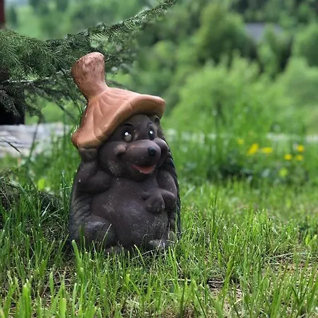 шервуд *