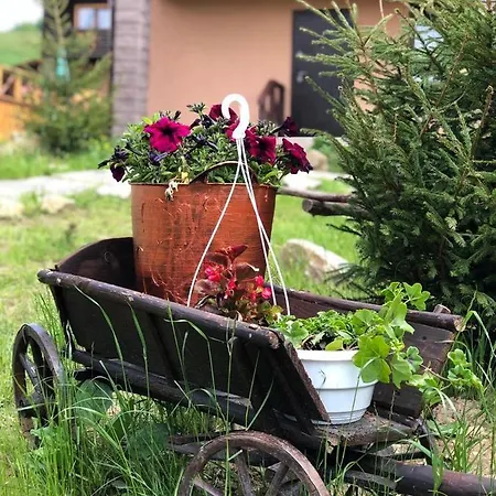 Appartement шервуд