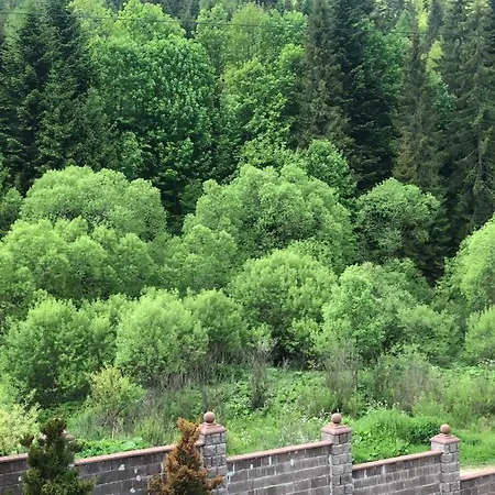 Apartman шервуд *