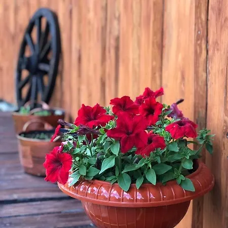 Apartman шервуд