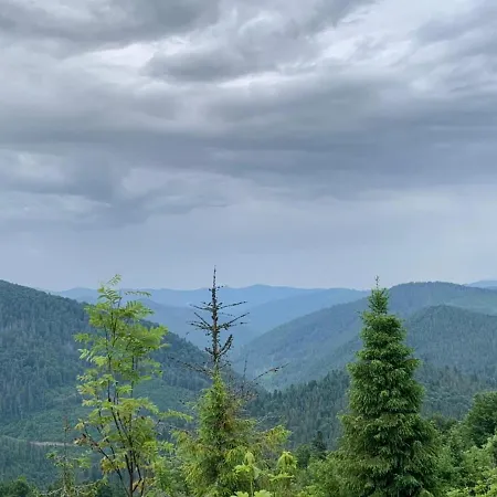 Appartement шервуд