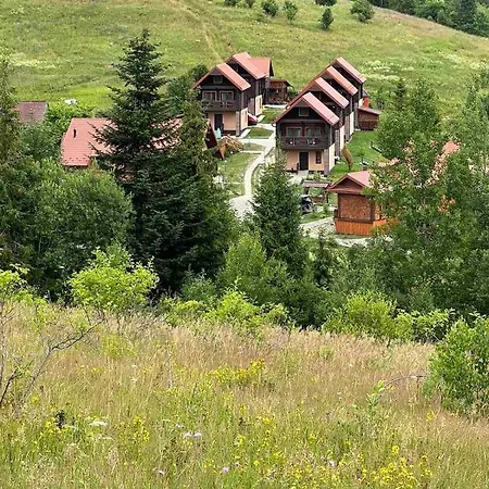 шервуд Mita