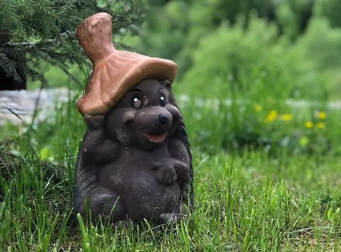 шервуд *