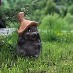 шервуд *